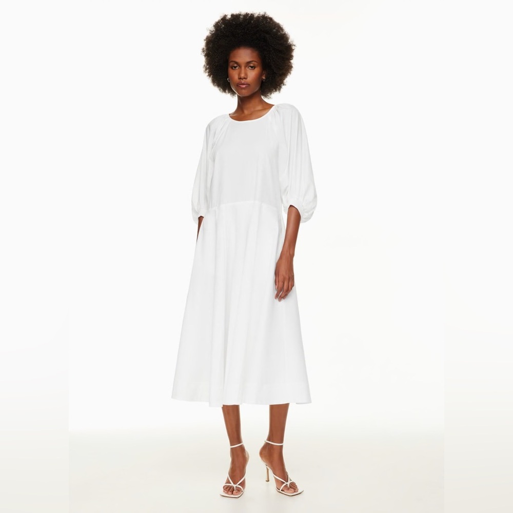 Aritzia Babaton Ambience Poplin Dress